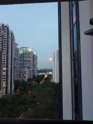 Bayshore Park (D16), Condominium #185221142